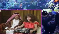 The Benny Hill Show - S15 E2 , Online free watch tv series 2017