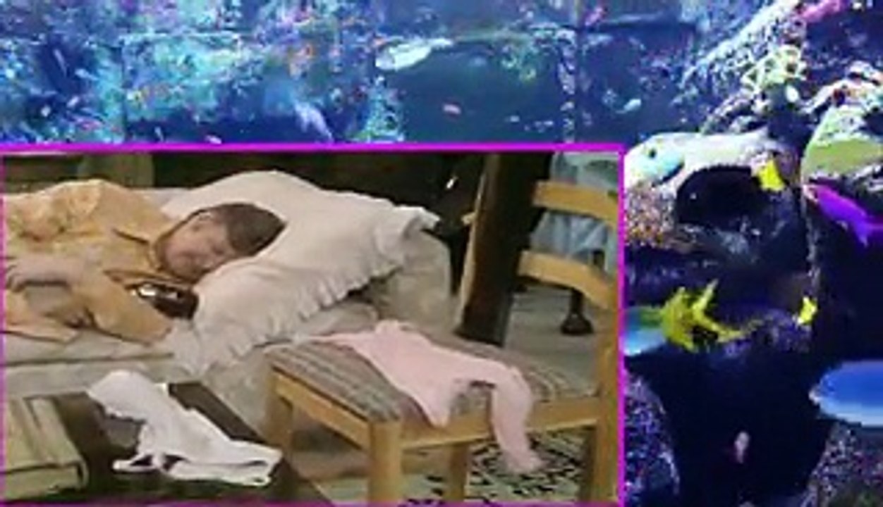 The Benny Hill Show S6 E3 Tex Cymbal - Golden Boy , Online free watch tv series 2017