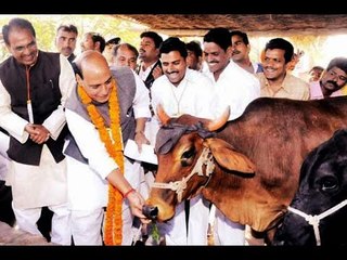 Rajnath Singh says NDA wants India to be Beef free