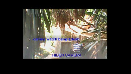 অসামাজিক কর্মকান্ডের আখড়া রাজধানীর পার্ক গুলোতে