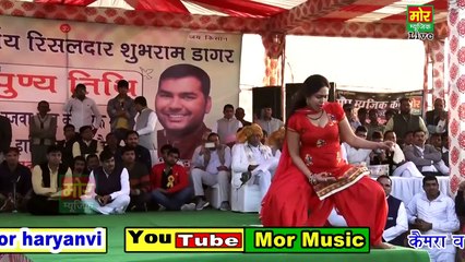 Desi haryanvi adult dance on stage By Ms. Pooja January 2017 -- Full HD (1080PX)