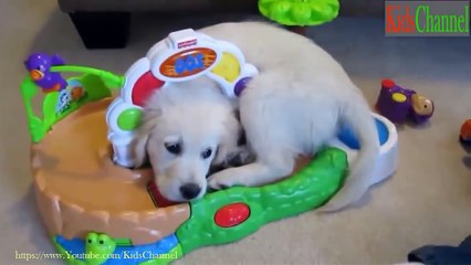 Funny Baby Laughing So Cute -- Baby Videos Compilation 2015_57