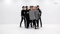 방탄소년단 '피 땀 눈물 (Blood Sweat & Tears)' Dance Practice