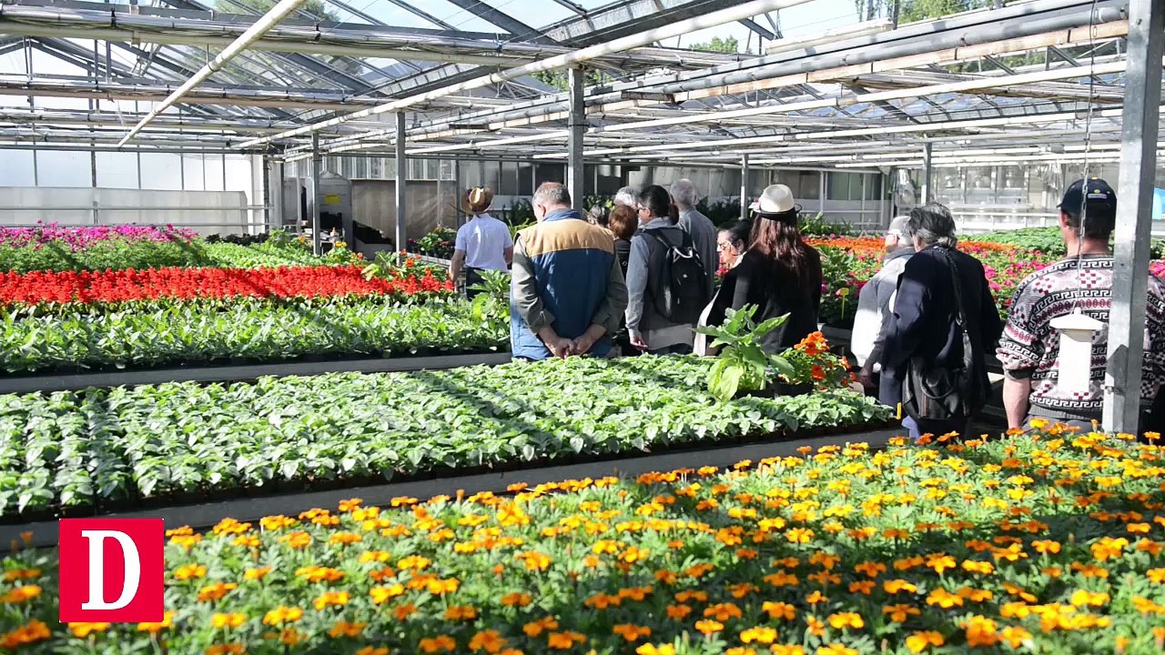 portes ouvertes aux serres municipales de Tarbes