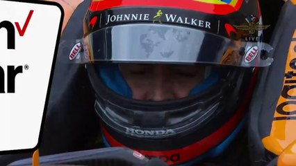 Fernando Alonso percute deux oiseaux sur le circuit d'Indianapolis