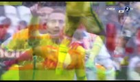 All Goals & Highlights HD - Lyon 3-2 Nantes - 07.05.2017