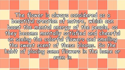 Importance of Flower Arrangement in the Daily Life of People