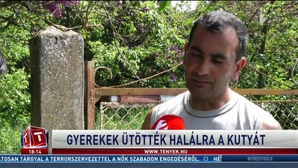 Gyerekek ütötték halálra a kutyát