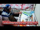 Hamile sokak kedisi doğurmak için öyle bir yer seçti ki