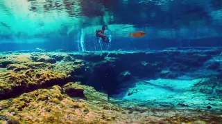 Apnea - Immersione alle grotte di Ginnie Springs - Freediving