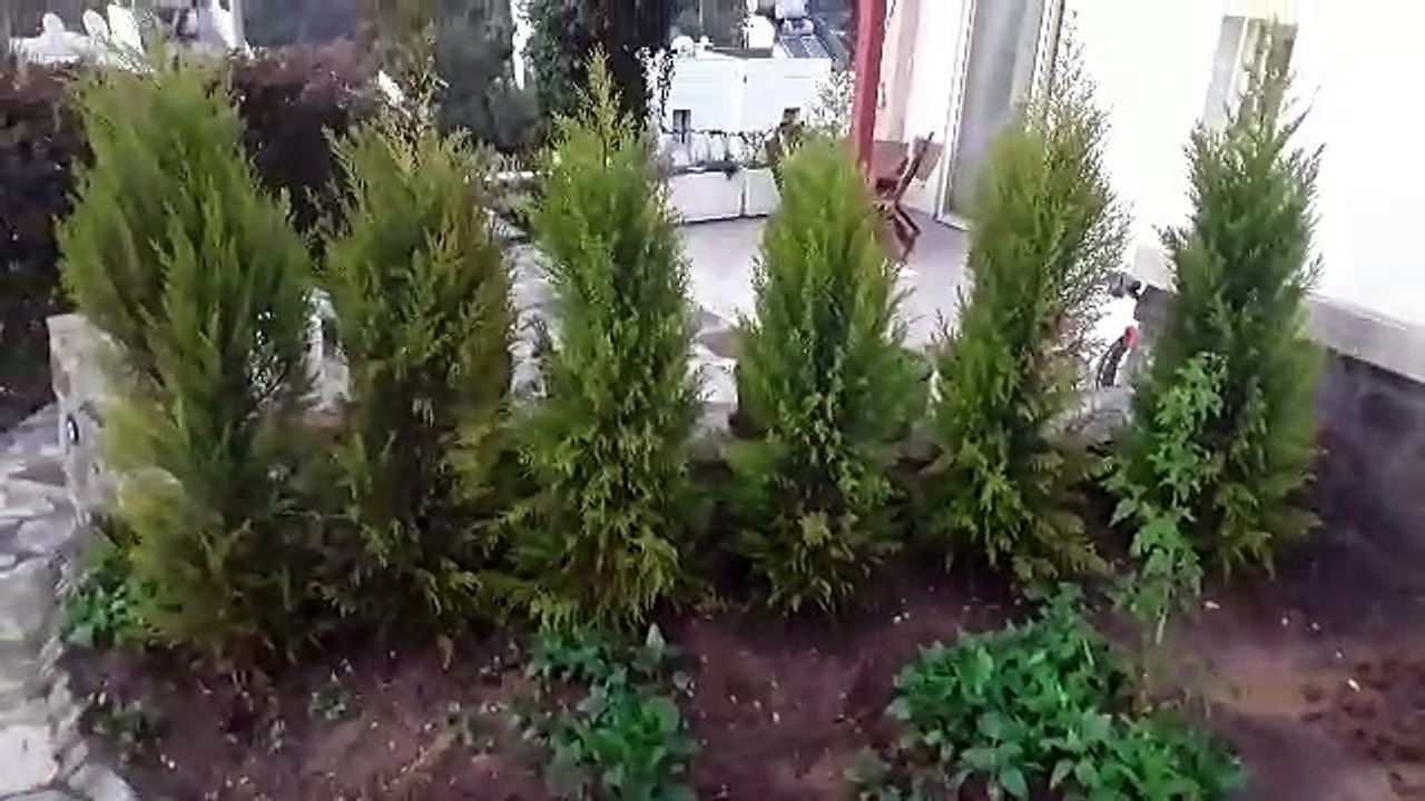 Garden 2017
