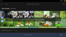 Editing Skin Tones in Adobe Lightroom Mobile for Beginners