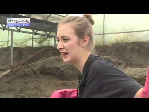 장어 200마리를 잡아라! 에바의 갯벌 도전! [광화문의 아침] 245회 20160602