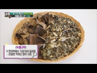 관절염에 좋은 약나무는? [내 몸 사용설명서] 105회 20160603