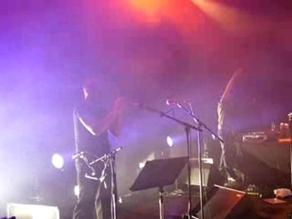 Manau Live La tribu de Dana