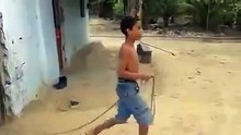 LE PLUS GROS CHIEN DU MONDE