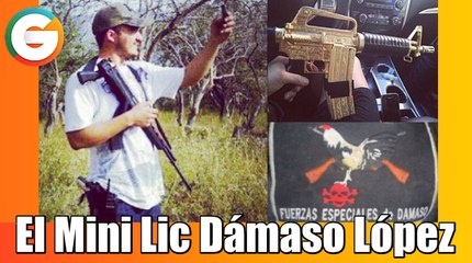 El Mini Lic , Dámaso López Serrano
