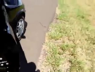 Este vídeo arrepiante está para ser eliminado do dailymotion todos os dias Veja antes.
