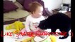 Best Funny Animals & Babies Compilation 2016 ► Funny Cats & Dogs with Babies Try Not to Laugh!