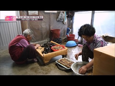 새벽부터 시어머니와 함께하는 홍합 작업[엄마의 봄날] 44회 20160530