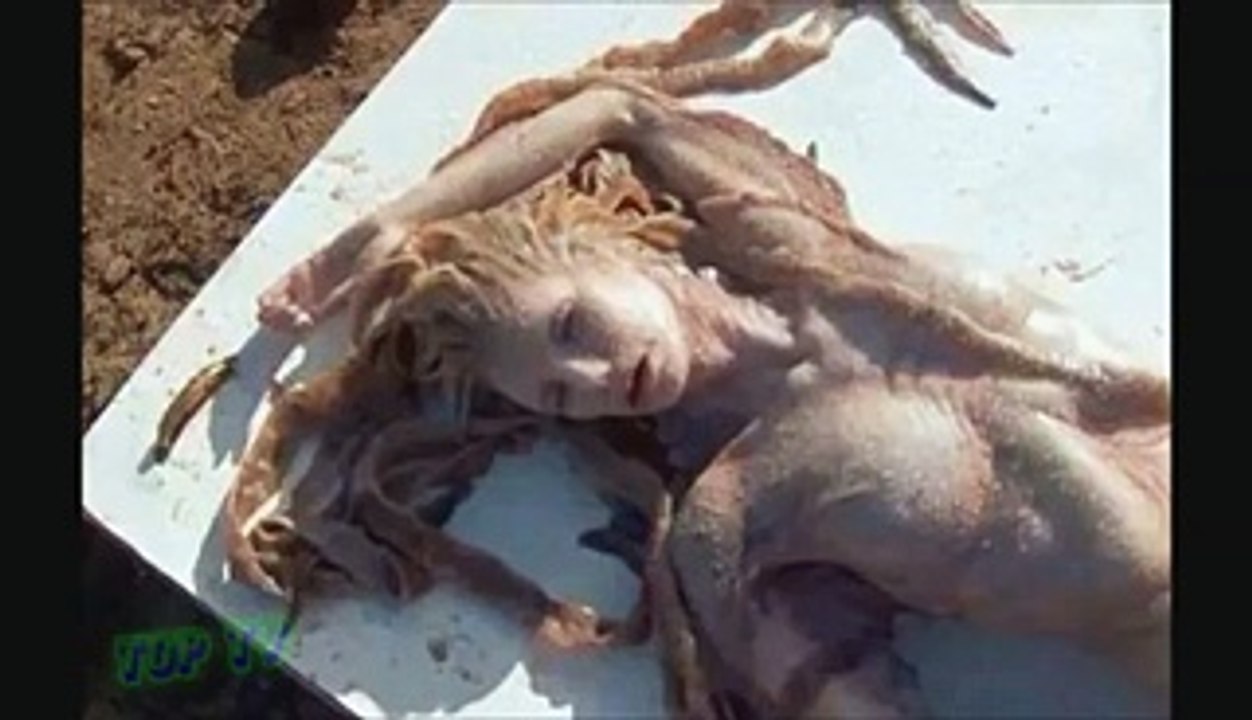 Une sirène aperçue sur une plage