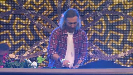 Tomorrowland Belgium 2016 - David Guetta_44