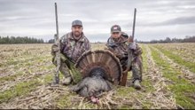 turkey hunting