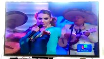 DESCUIDO DE PRESENTADORA TV 2017