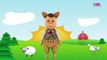 Baa Baa Black Sheep Nursery Rhymes   3D Animation Nursery Rhymes For Children