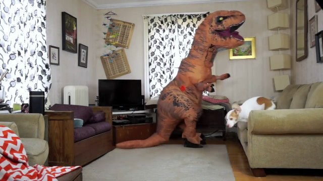 T-Rex Befriends Dog- Funny Dog Maymo - YouTube