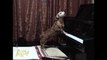 Dog Plays Piano And Sings - Funny Dogs - AFV(1)