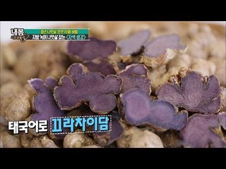 보라색의 이것 먹고 13kg 감량했다! 정체는? [내 몸 사용 설명서] 103회 20160520