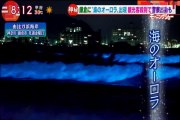 赤潮が夜に幻想的な青白い海のオーロラ【鎌倉に観光客殺到】神奈川