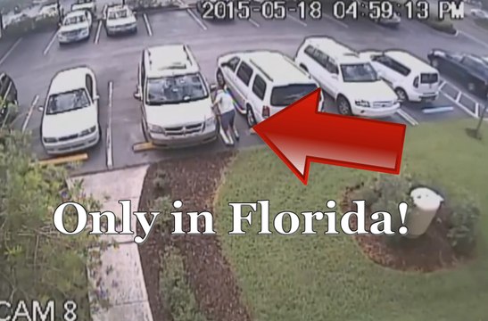 82-Year-Old Florida Man Slashes Tires Over Favorite Bingo Seat