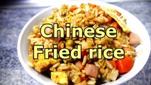 TASTY CHINESE FRIED RICE  Easy food recipes videos for dinner to make at home -