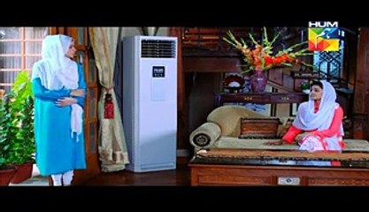 Aik Pal Last Episode Full HUM TV Dramas Apr 20, 2015,Watch Tv Series new S-E 2016