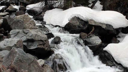 Nature l Planet Earth l Water Stream HD