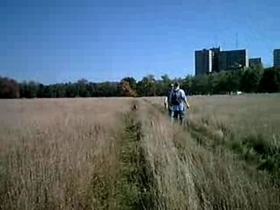 MtRoyal