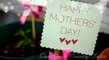 Happy Mother's Day 2017 | Mothers Day Video Greeting, Wishes