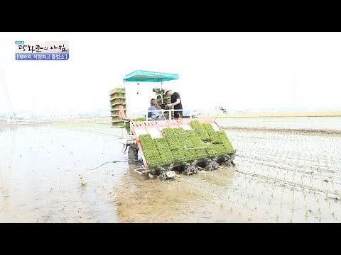 에바의 이앙기로 모내기 도전! [광화문의 아침] 240회 20160526