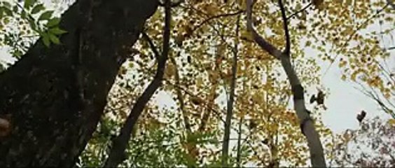 Louder Than Words (2013) Trailer HD,Watch Tv Series new S-E 2016