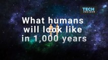 What humans will look like in 1,000 years