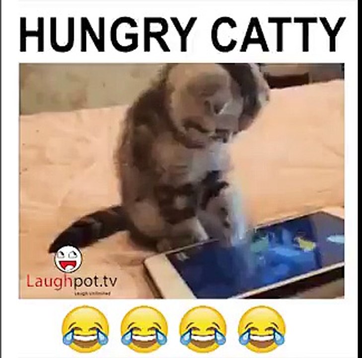 OMG What A Video 572