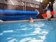 Pool Flips!-5d_seQlsdnI