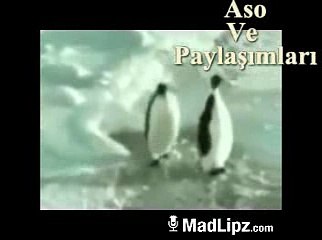 Kürtçe Dublaj Ye Bereday.Aso ve Paylaşımları