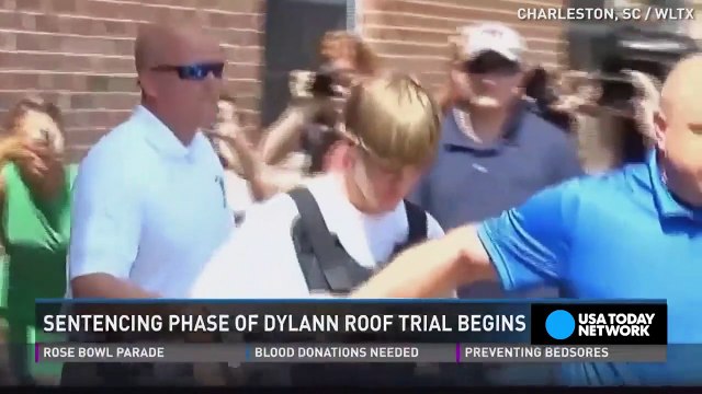 Charleston church shooter says nothing is wrong with him-2NUFS87C