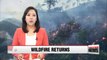 Forest fires continue to rage in eastern Korea