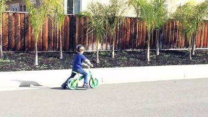 Velo Green Balance Bike-cXonnTwvWXs