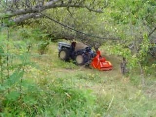 gyrobroyage sous des arbres bas...