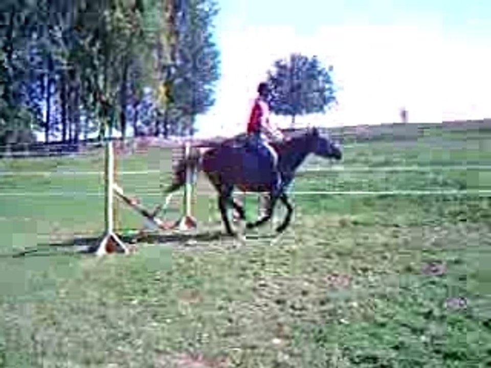 quouala saute